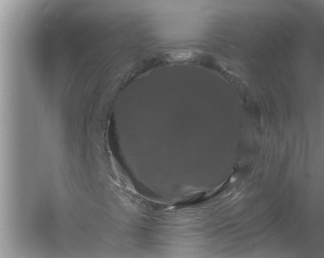 X0000058831441200510071809