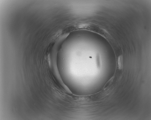 X0000058831443200510071808