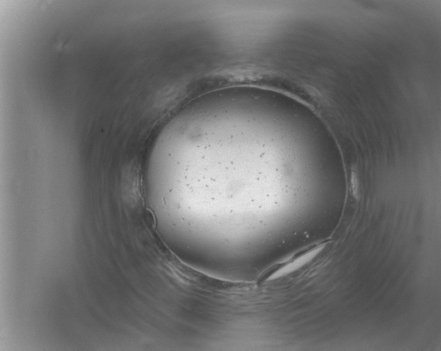 X0000058831444200510071808