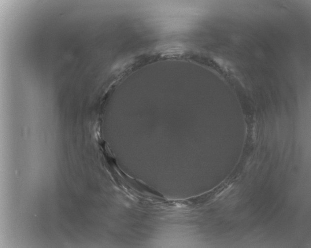 X0000058831445200510071808