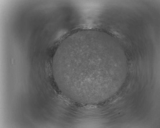 X0000058831446200510071808