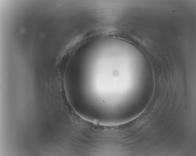 X0000058831447200510071808