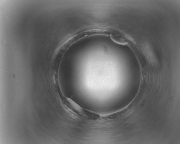 X0000058831448200510071808