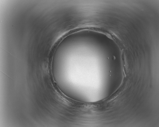 X0000058831452200510071808