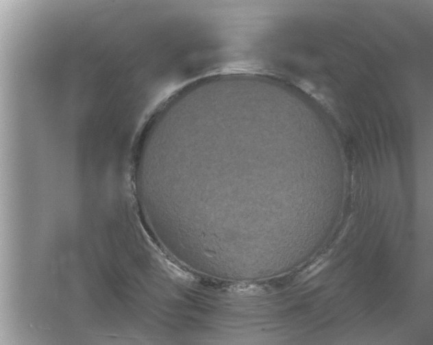 X0000058831454200510071808