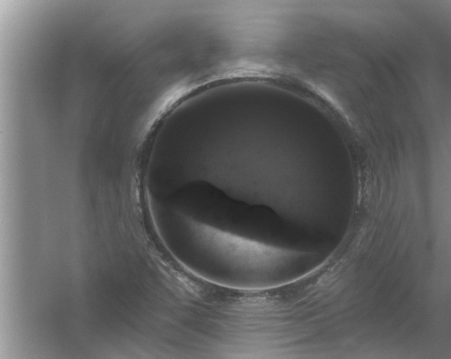 X0000058831455200510071808