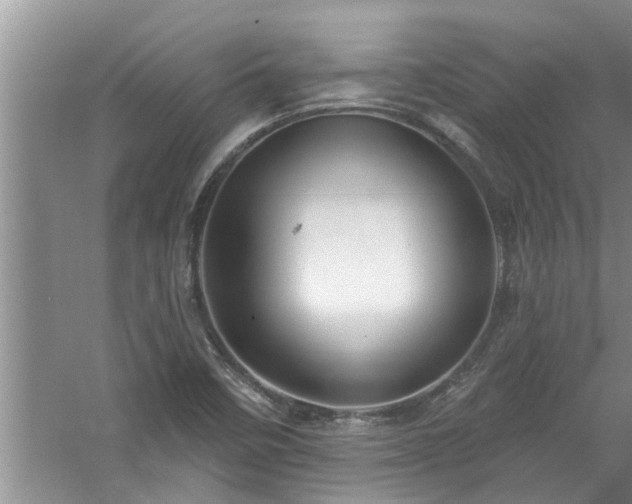 X0000058831458200510071808