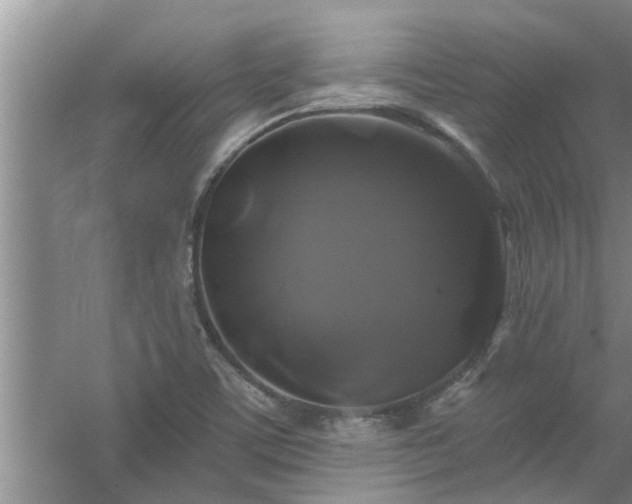 X0000058831459200510071808