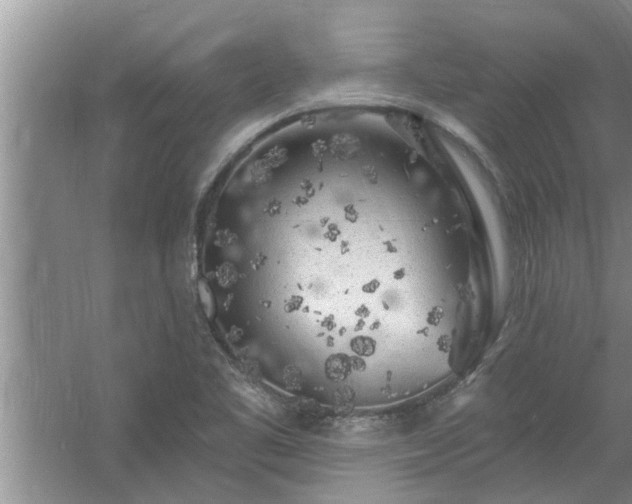 X0000058831461200510071808