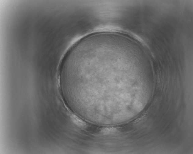 X0000058831462200510071808