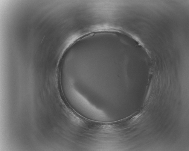 X0000058831463200510071808