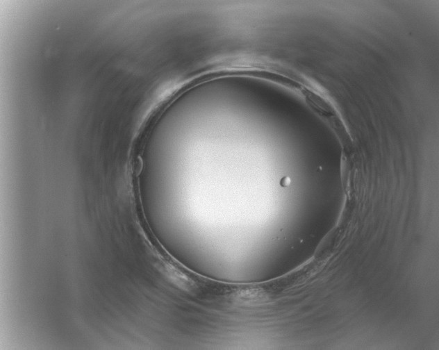 X0000058831464200510071808