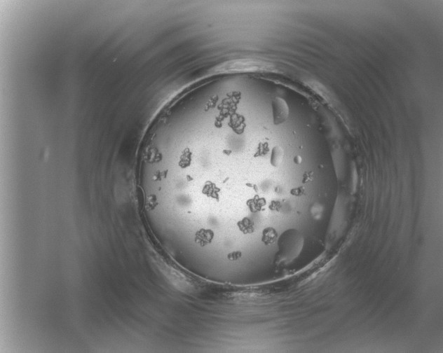 X0000058831465200510071808