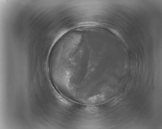 X0000058831466200510071808