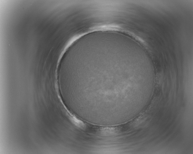 X0000058831470200510071808