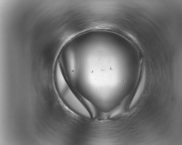 X0000058831471200510071808