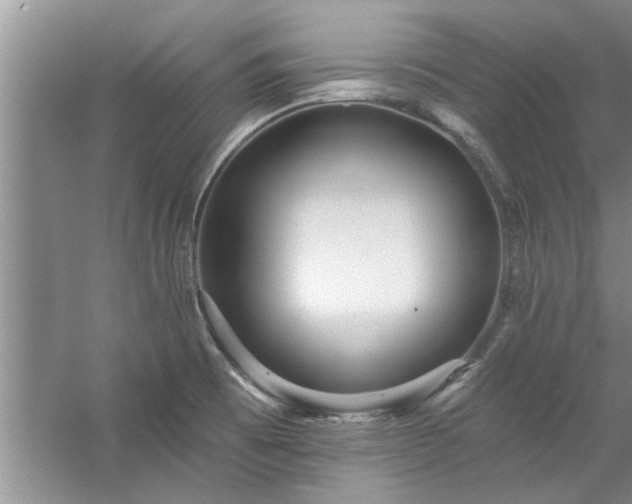 X0000058831473200510071808