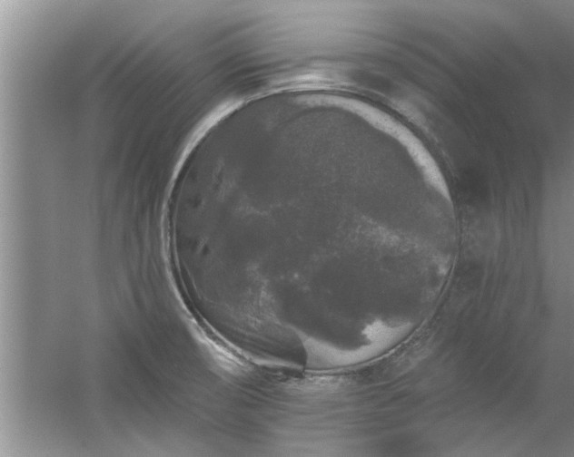 X0000058831474200510071808