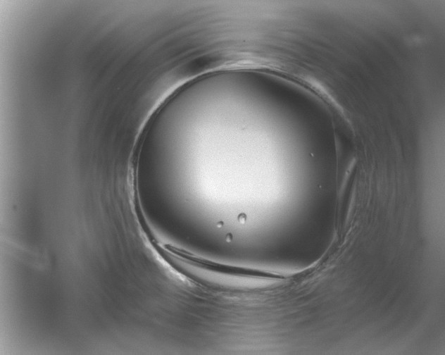 X0000058831476200510071808