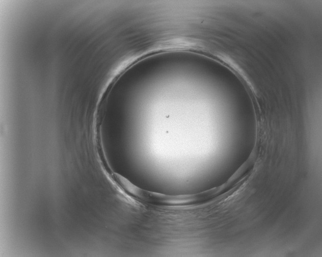 X0000058831477200510071808