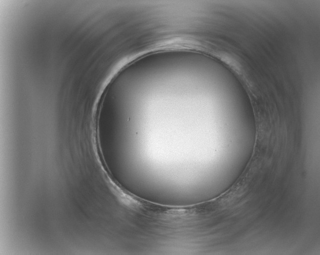 X0000058831478200510071808