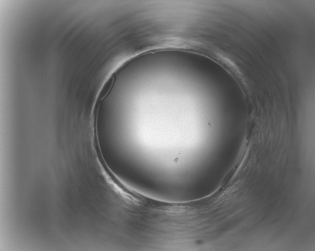 X0000058831479200510071808