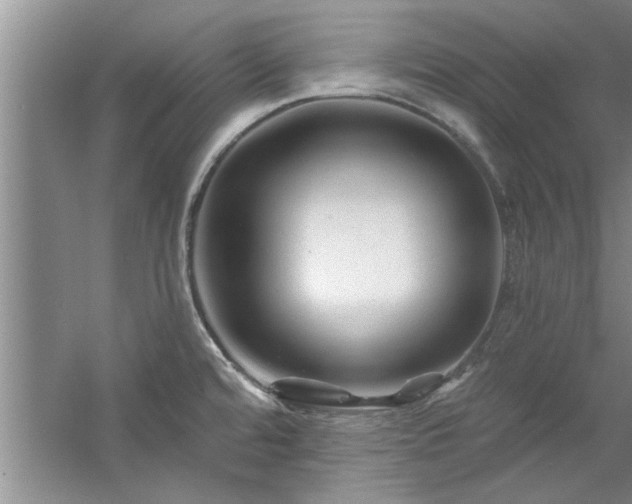 X0000058831480200510071808