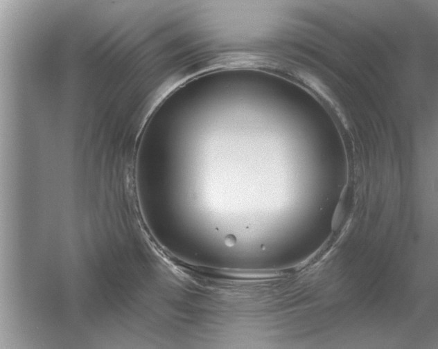 X0000058831481200510071808