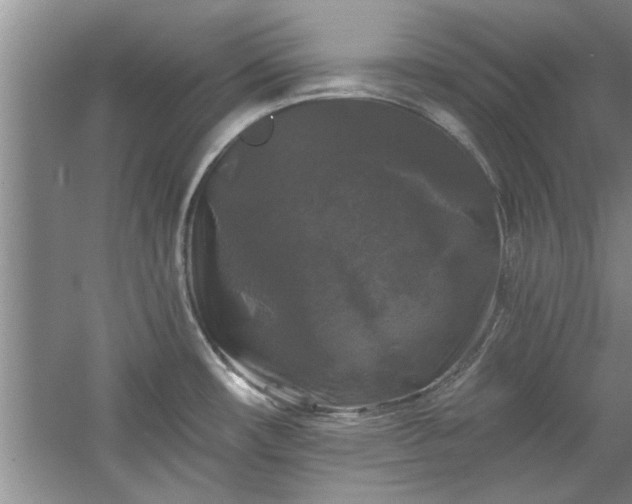 X0000058831482200510071808