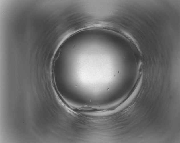 X0000058831483200510071808