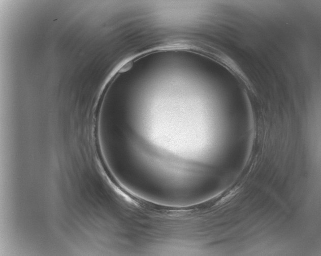 X0000058831484200510071808