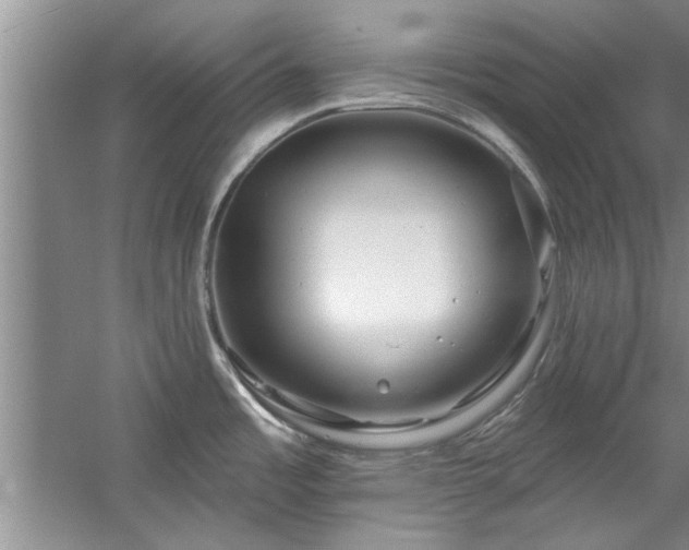 X0000058831485200510071808