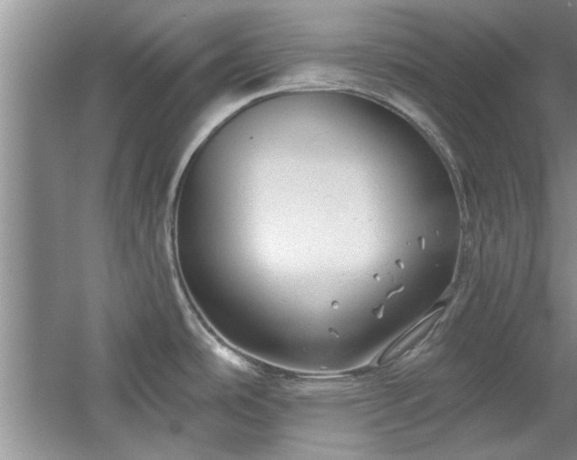 X0000058831486200510071808