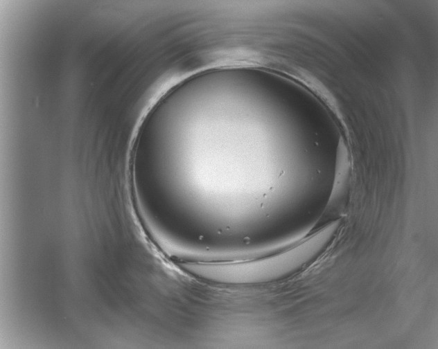 X0000058831488200510071808