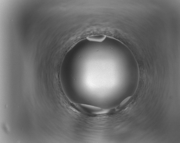 X0000058831489200510071807