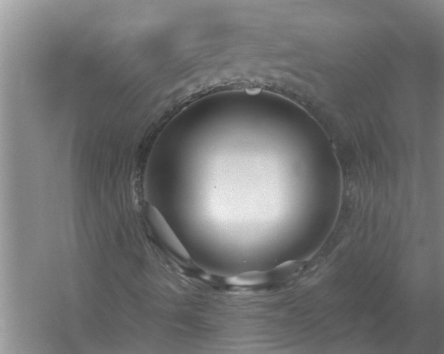 X0000058831490200510071807