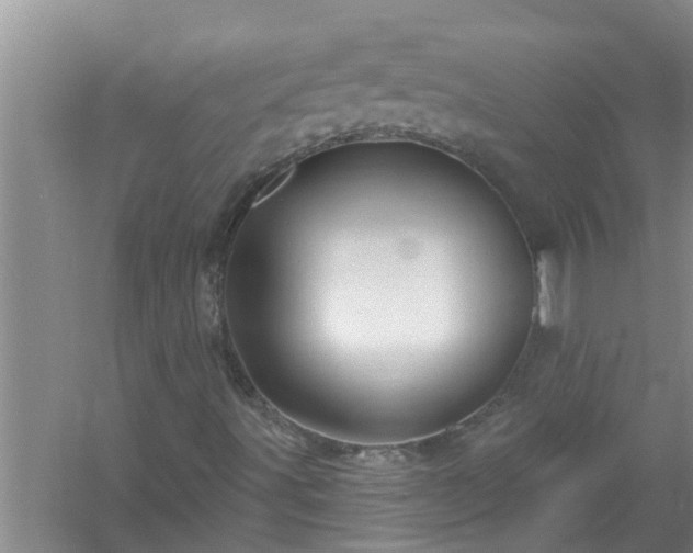 X0000058831491200510071807