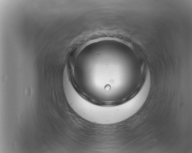 X0000058831492200510071807