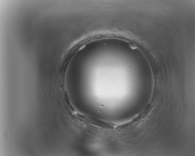 X0000058831494200510071807