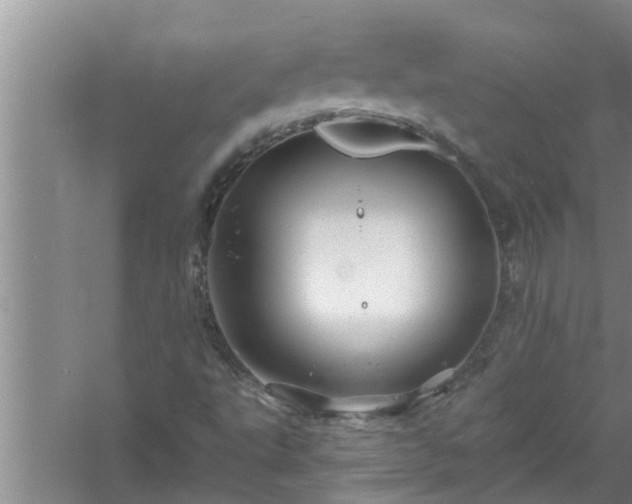 X0000058831495200510071807