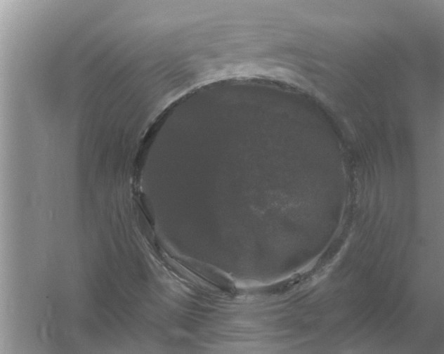 X0000058831497200510071807