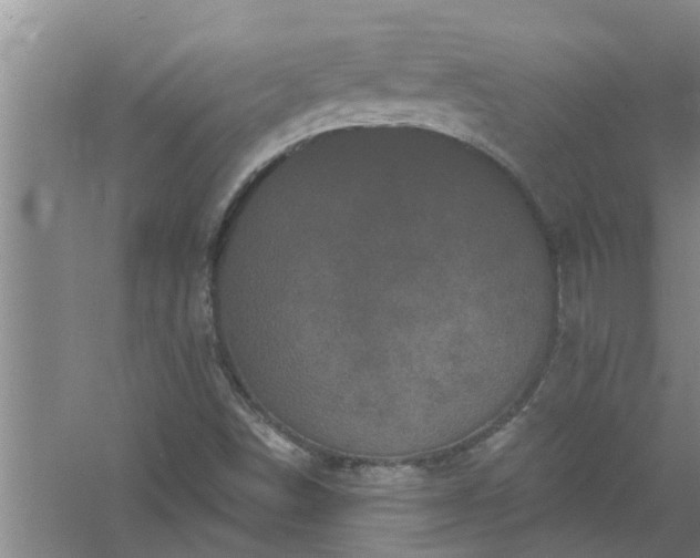 X0000058831498200510071807