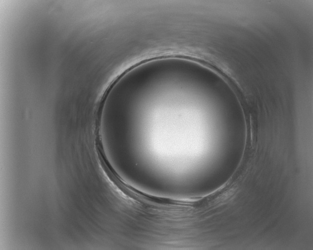 X0000058831500200510071807