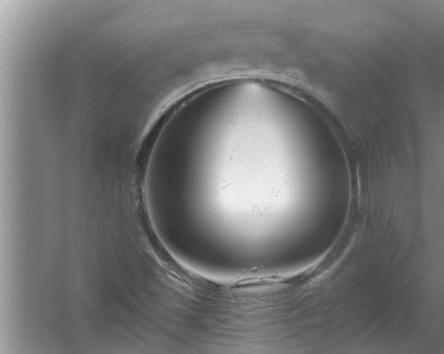 X0000058831501200510071807