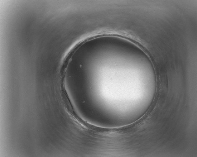 X0000058831502200510071807