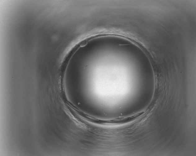 X0000058831503200510071807