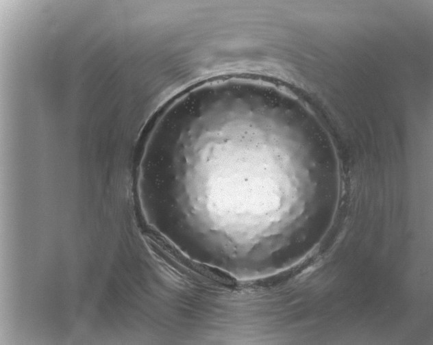 X0000058831505200510071807