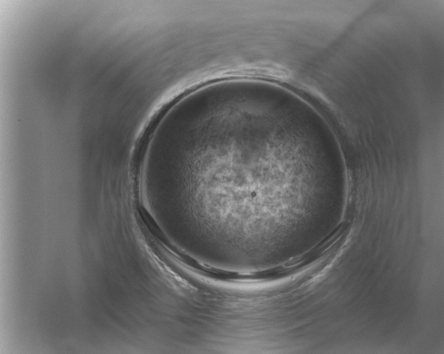 X0000058831506200510071807