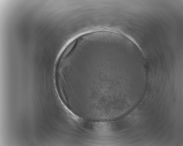 X0000058831508200510071807