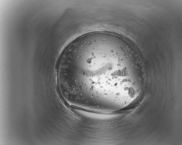 X0000058831509200510071807